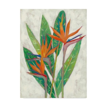 Trademark Fine Art Chariklia Zarris 'Paradise Vacation I' Canvas Art, 18x24 WAG04924-C1824GG